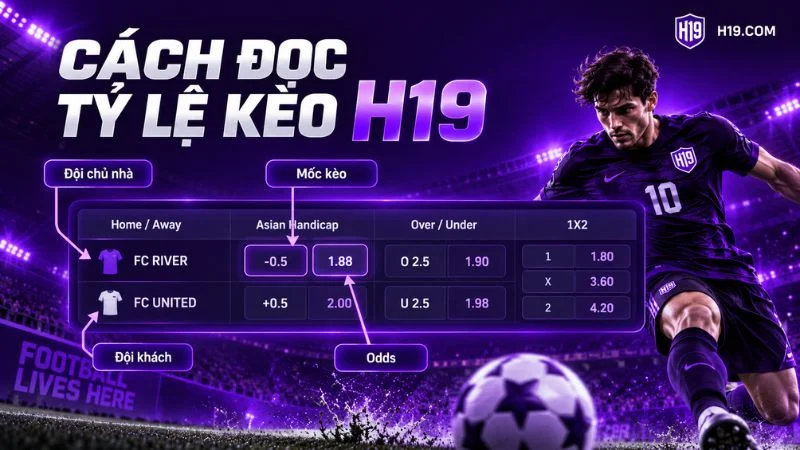 Hướng dẫn cách đọc tỷ lệ kèo thể thao H19